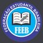 FEEB Logo